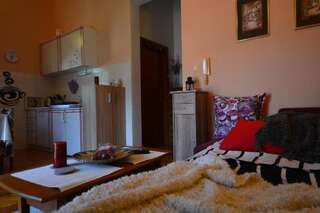 Апартаменты Apartman Miloševic Котор Апартаменты-50